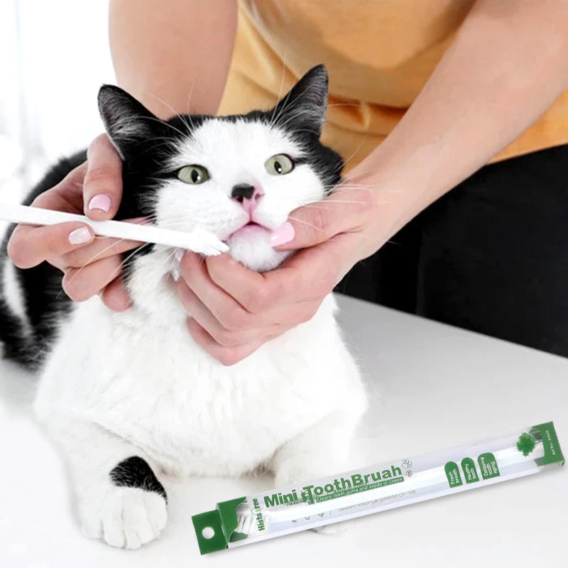 Vet Recommended Micro Head Dog Toothbrush For Pets