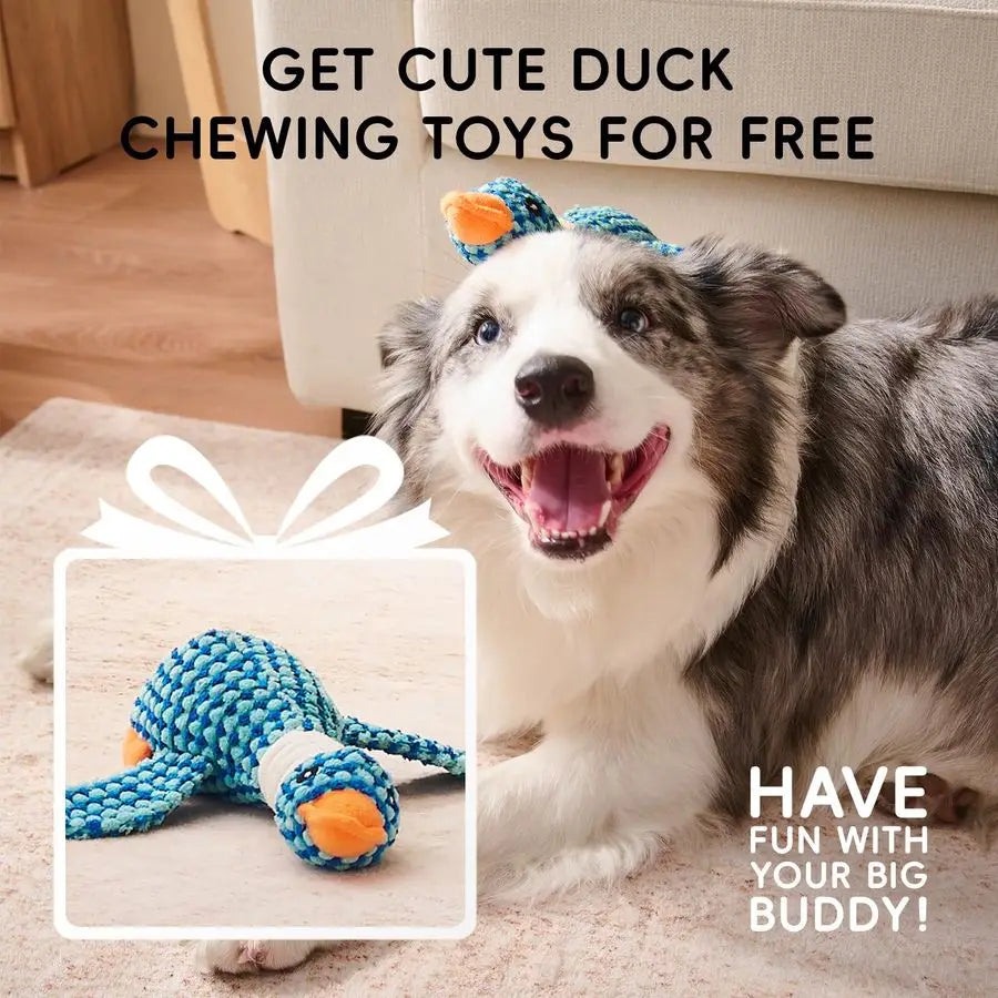 Orthopedic Memory Foam Dog Bed For Pets With Plush Support